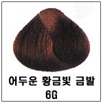 6G